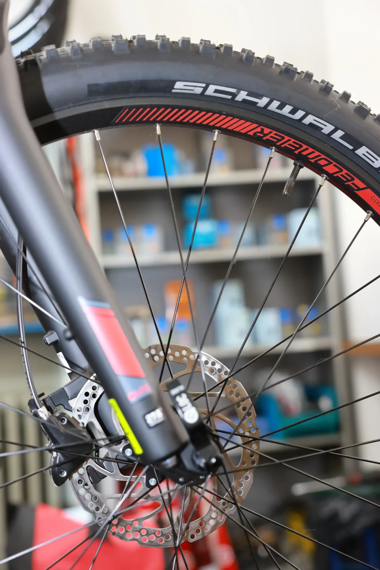 Fahrradvorderrad mit Schwalbe-Reifen und Scheibenbremse